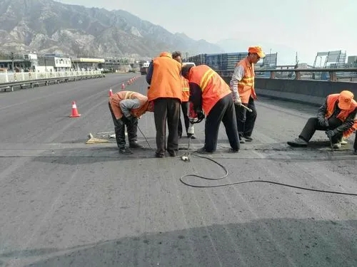 虎丘道路桥梁病害治理